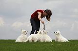 ADULTE ET CHIEN 158